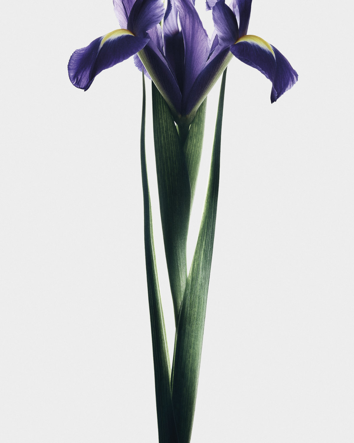 Loewe Crafts A New Olfactory Chapter With Its Sculptural Crafted Collection