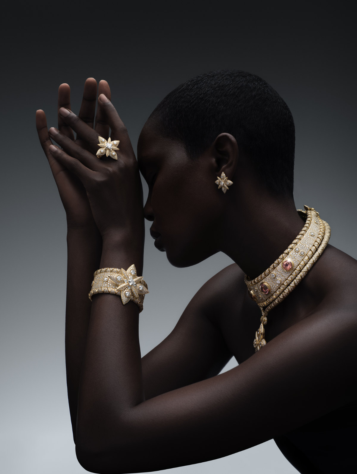 Louis Vuitton Presents Its New High Jewelry Collection: Virtuosity