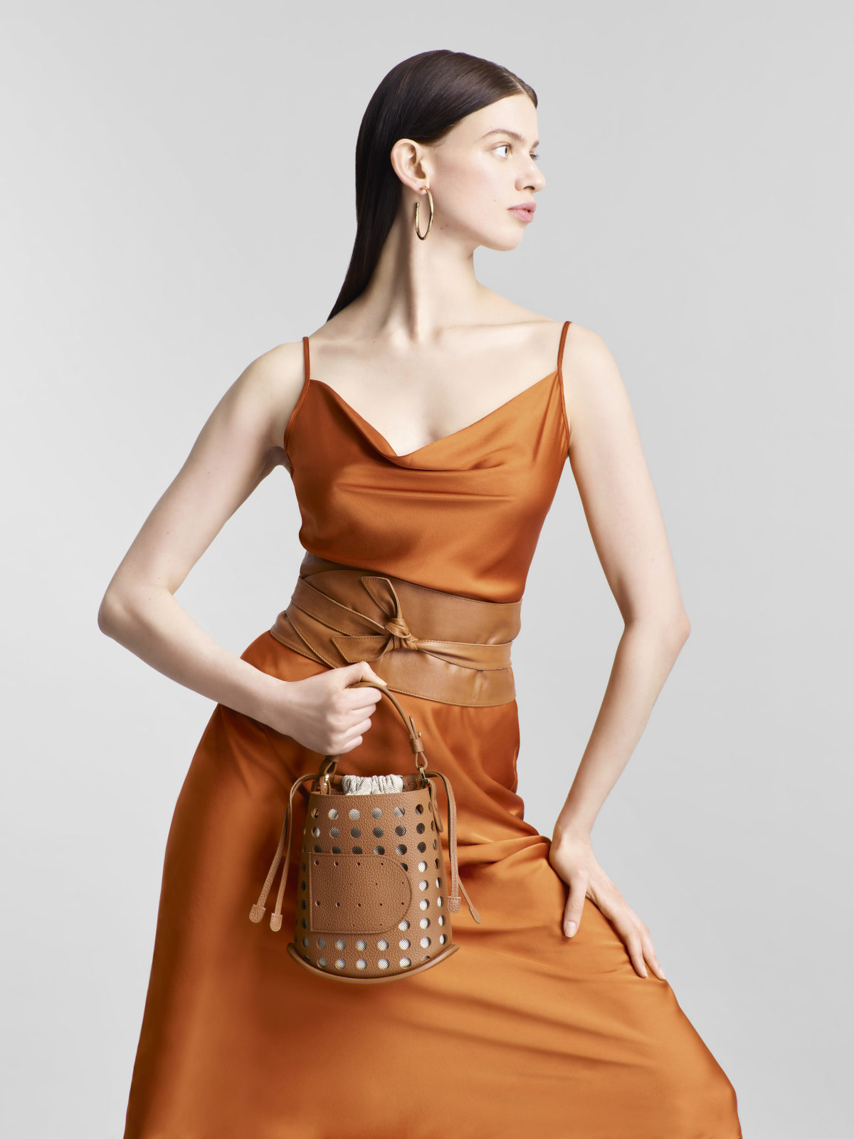 Delvaux: The Leather Mastery